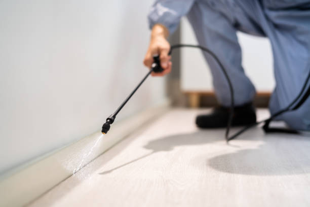 Licensed Cockroach Control service in Thomasboro, IL - Nex Pest Control