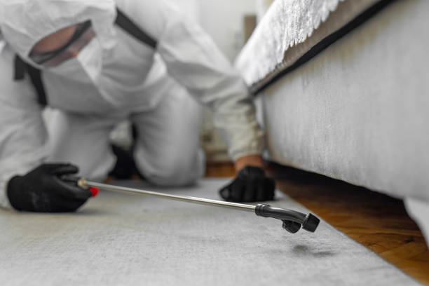 Professional Cockroach Control technician working in Thomasboro, IL