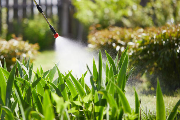24/7 Emergency Cockroach Control experts in Thomasboro, IL