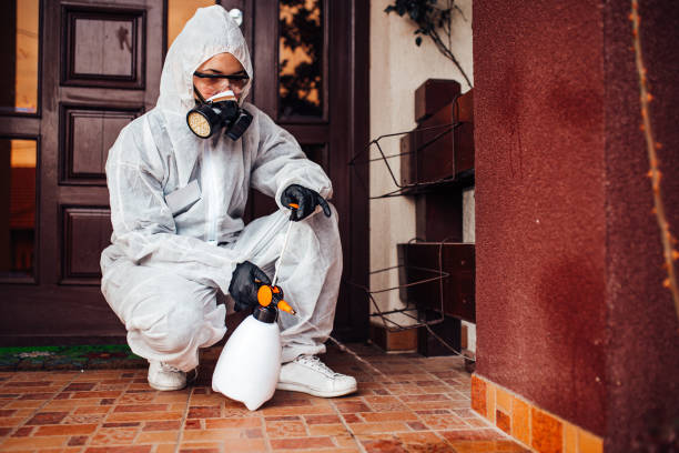 Reliable Cockroach Control contractor in Thomasboro, IL by Nex Pest Control
