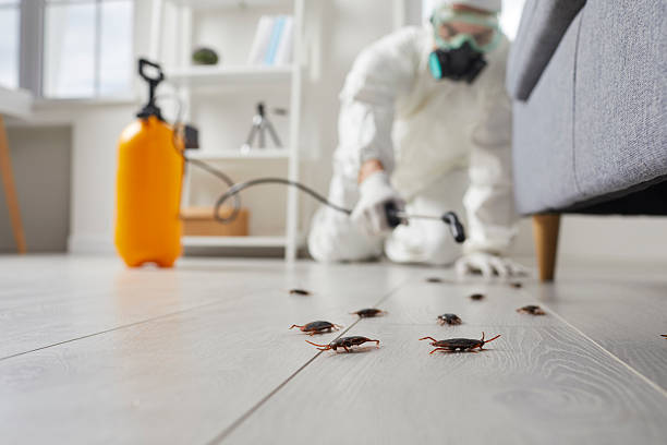Affordable Cockroach Control solutions in Thomasboro, IL