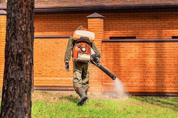 Top rated local Cockroach Control specialists in Thomasboro, IL
